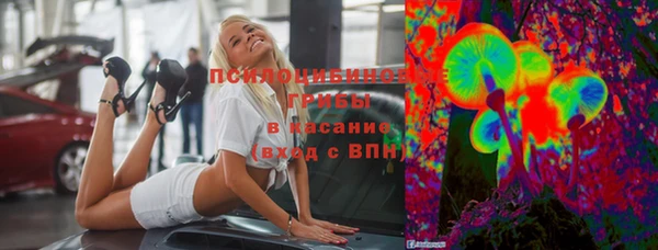 прущий лед Абаза