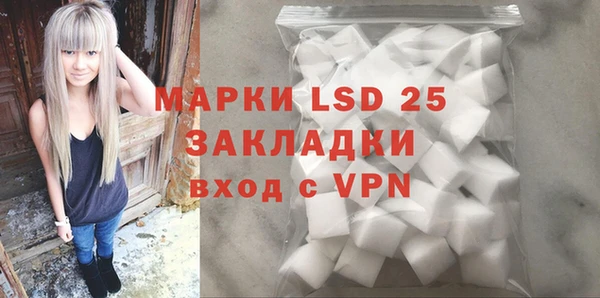 ГАЛЛЮЦИНОГЕННЫЕ ГРИБЫ Осинники
