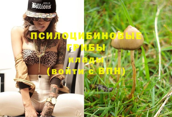 первитин Абинск