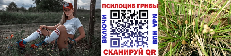 площадка формула Циолковский Псилоцибиновые грибы Psilocybine cubensis